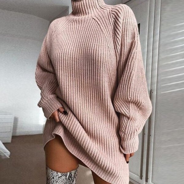 Women's Turtleneck Sweater Dress – Long Sleeve Winter Knit