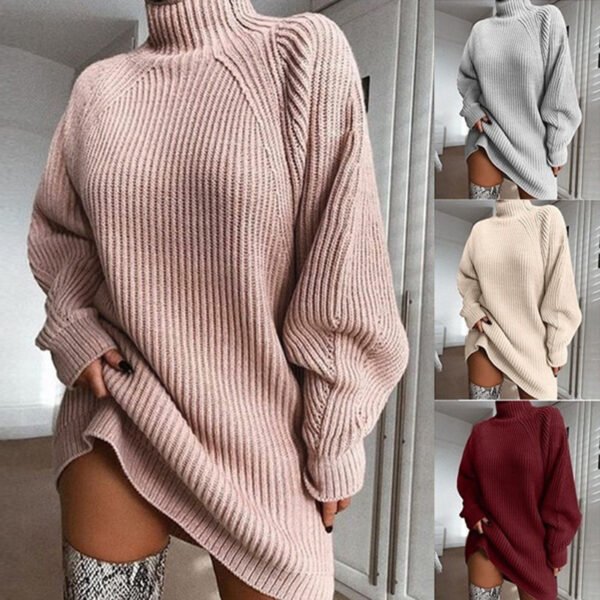 Women's Turtleneck Sweater Dress – Long Sleeve Winter Knit