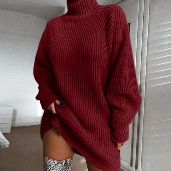 Women's Turtleneck Sweater Dress – Long Sleeve Winter Knit